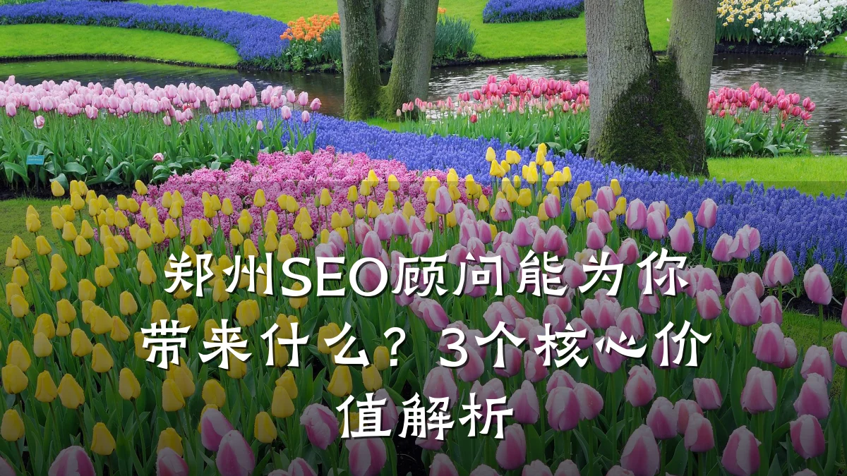 郑州SEO顾问能为你带来什么?3个核心价值解析